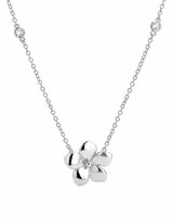 Necklace Woman in Silver CAO4660-BIANCO